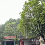 长沙！部门聚餐安排在这里被领导夸了😄