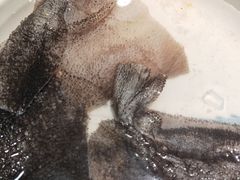 -中华老火锅(金渝大道店)