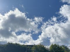 -Sun World Chinese Restaurant 新世界海鲜酒家