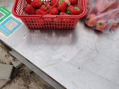 -大自然农场蔬菜草莓采摘园