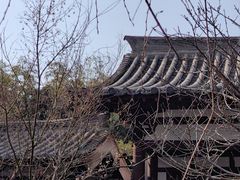-西安青龙寺遗址景区