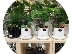 -AEON永旺(东方宝泰店)