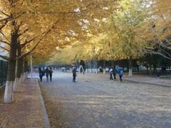 -辽宁大学(崇山校区)
