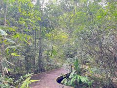 -海南热带雨林国家公园吊罗山景区