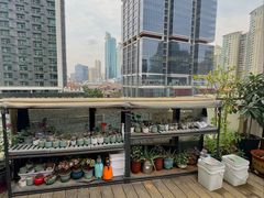 -小山日本料理(兴业太古汇店)