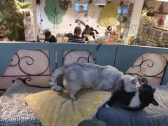 -小时光咖啡馆(北锣鼓巷店)