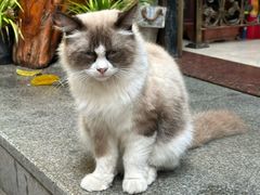 -吴财记面家(大同路店)