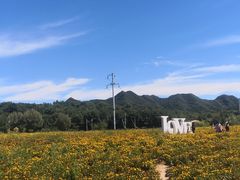 -百里山水画廊乌龙峡谷