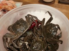 -蟹将军·松叶蟹和牛日料放题自助(K11店)