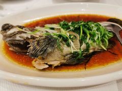 -金翠皇宫粤菜·点心·海鲜(科技园店)