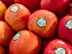 -大鹏佳兆业广场