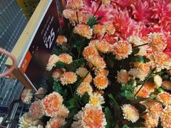 -宜家家居(四元桥商场店)