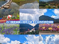 -广州市石门国家森林公园