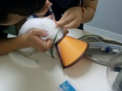 -谐和益家动物医院·免疫绝育·血液透析·宠保定点医院(高新伊藤分院)