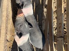 -祥源·阜阳生态乐园