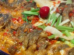 -老板恋上鱼(恒隆广场店)