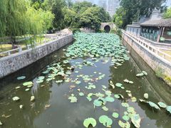 -水绘园