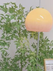 -变美丽半永久纹眉连锁·机器野生眉·洗眉