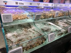 -超级物种·波龙工坊(国贸店)
