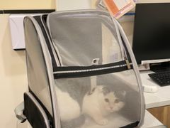 -萌兽医馆·犬猫专科·眼科中心·宠物医院(朝阳门分院)