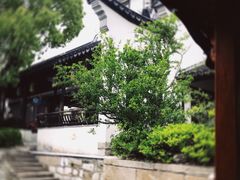 -黎里古镇