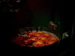 -花马天堂云南餐厅 Lost Heaven(高邮路店)