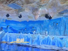 -海合安青岛极地海洋公园