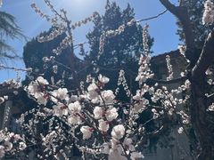 -中国农业博物馆