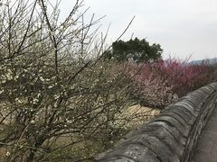 梅园-台州府城(江南长城)