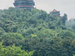 -七欣天香辣蟹火锅(南京建宁路大观天地店)