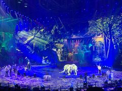 -珠海横琴长隆《卡卡虎奇遇记》