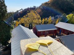 -遵化市禅林寺古银杏风景园