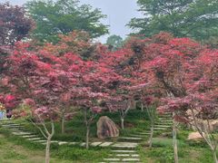 -广州市帽峰山景区