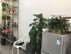 -YDO SALON