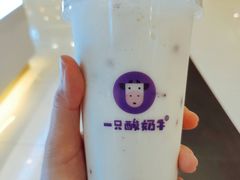-一只酸奶牛(来福士店)