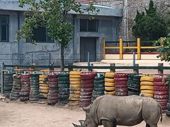 -西霞口神雕山野生动物世界