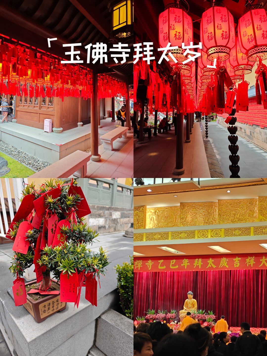 玉佛寺拜太岁法会:祈福纳祥,化解流年