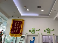 -纳吉亚猫专科动物医院·北北分院