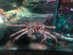 -沈阳海洋探索中心