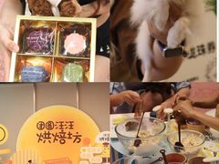 -帕帕拉兹宠物(亚洲旗舰店)