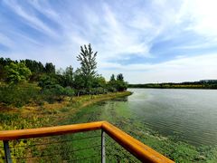 -东郊湿地公园