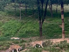 -杭州野生动物世界