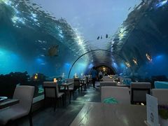 -海棠湾洲际-涛·海底餐厅·美人鱼·自助餐·海底隧道