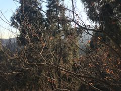 -香山公园-东宫门售票处