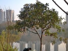-重庆彩云湖湿地公园
