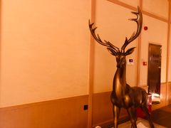 -蓝鲸湾汤泉(包河店)