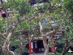 -西安华清御汤酒店