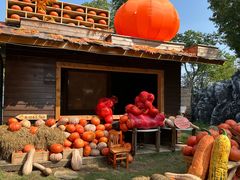 -HERRE·FARM 赫尔露营农场·团建聚会包场