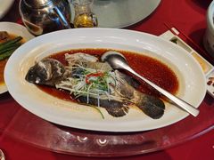 -沪碟·精菜坊(闵行店)
