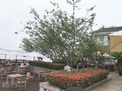 -望海·帆船主题咖啡厅•品茗下午茶(石湖景区店)